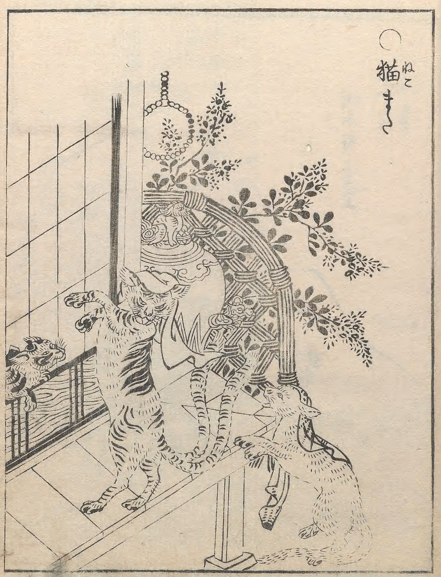 A black-and-white Edo woodblock book-plate of monster-cats on a house veranda: a striped cat rears upright on its hind legs by a latticed shoji screen, one forepaw raised, beneath a round hanging lamp; behind it a cloth-draped cat dances and a long-tailed cat-creature crouches at right, the label reading "nekomata".