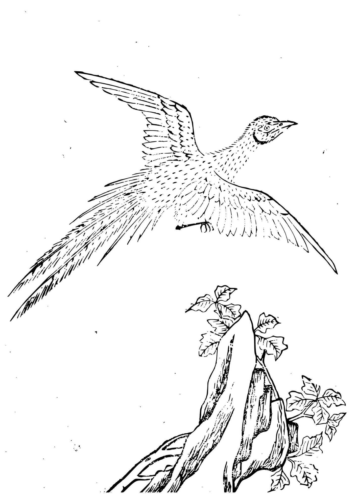 A Chinese woodblock-style line illustration of the bird Jingwei in flight, wings spread and a long streaming tail, gliding above a leafy branch springing from a rock; ink line on a plain ground.